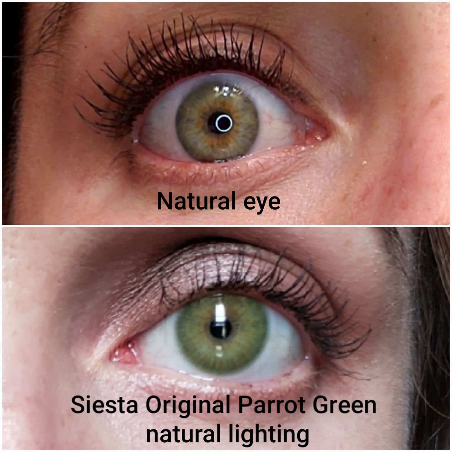 Siesta Original Parrot Green