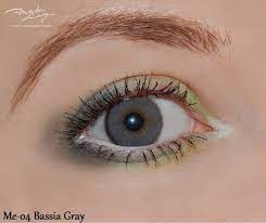 Bassia Gray