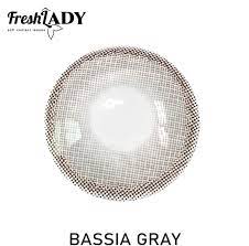 Bassia Gray