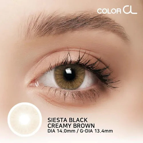 Creamy Brown - Siesta Black