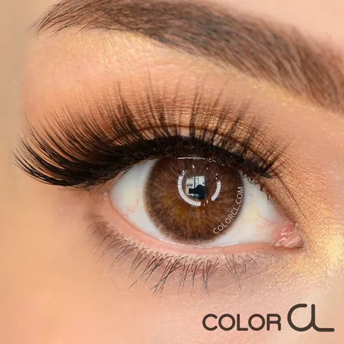 Siesta Crystal Halo Brown