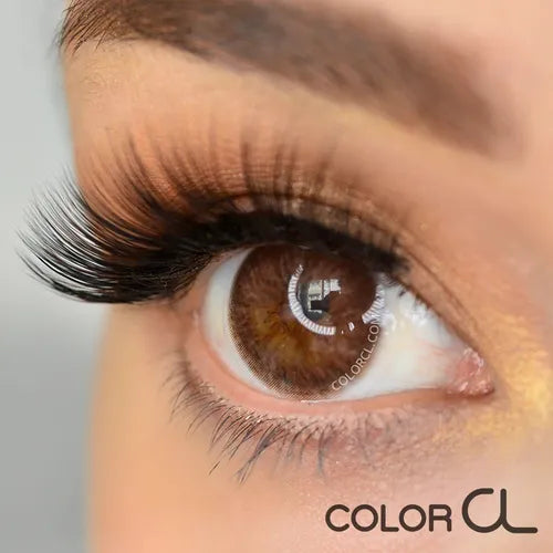 Siesta Crystal Halo Brown