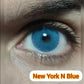 New York N Blue